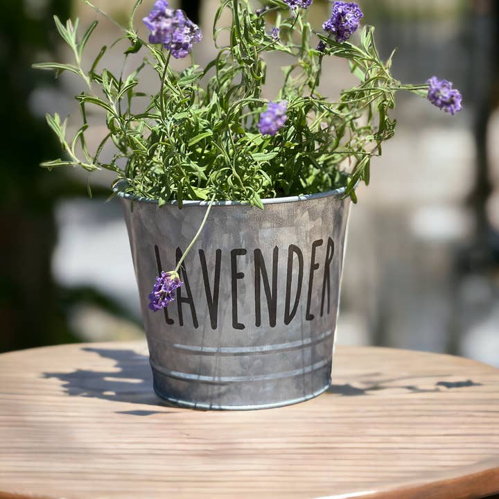 The Savvy Spade - Wholesale Plant Pot - Lavender Farmhouse Herb Bucket Planter