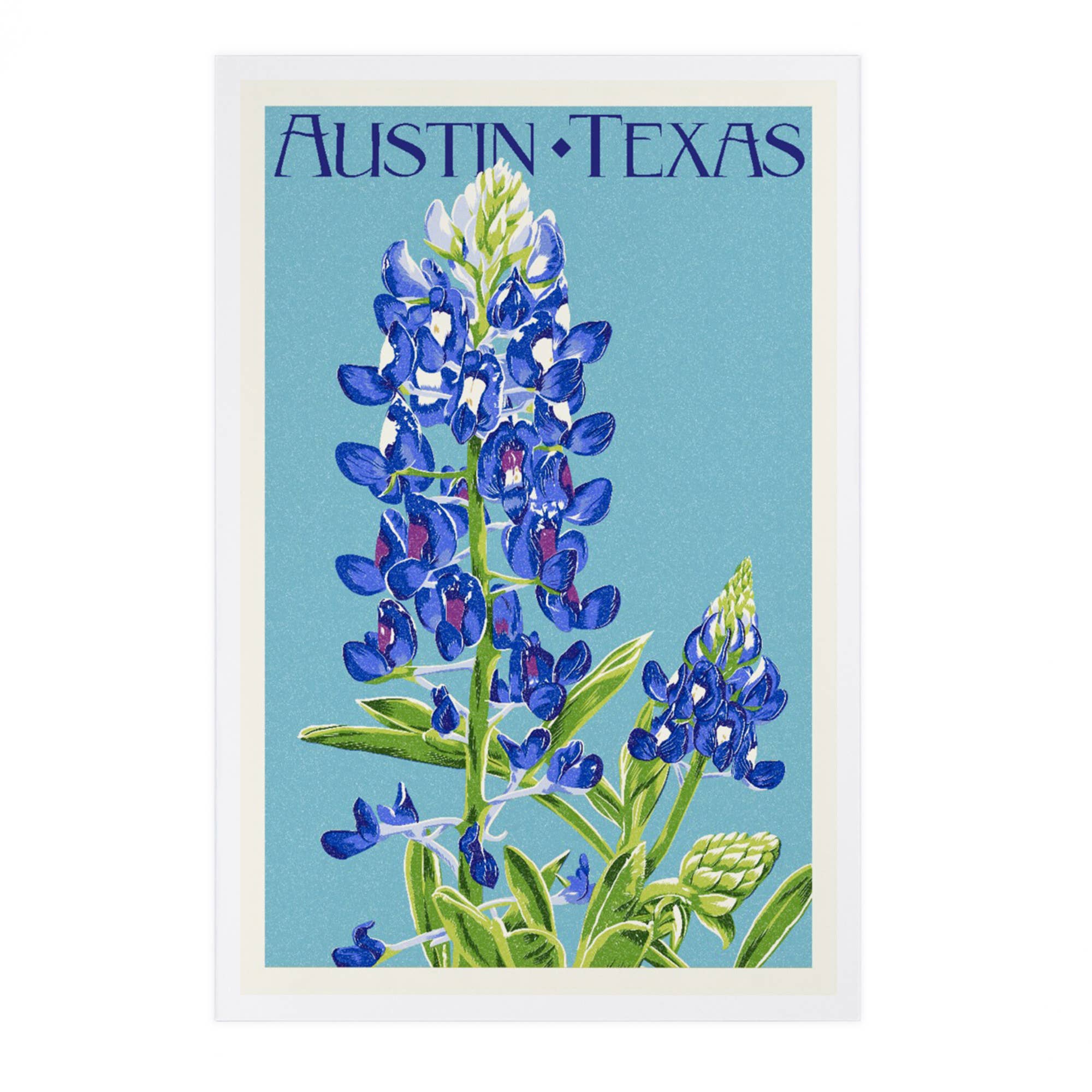 Lantern Press - Wholesale Postcard - PREMIUM POSTCARDS Austin, Texas, Bluebonnet, Letterpress0