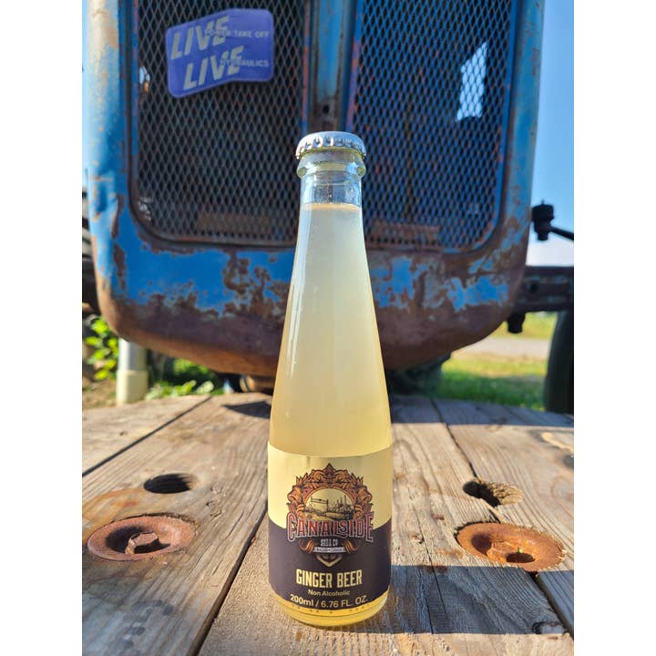 Canalside Soda Co. - Wholesale Alcoholvrij aperitief - Alcoholvrij gemberbier (flessen van 200 ml)