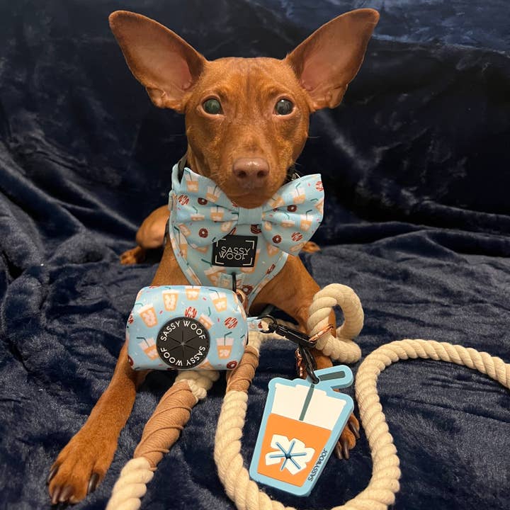 SASSY WOOF - Wholesale Pet Leash - Dog - Dog Rope Leash - Natural5