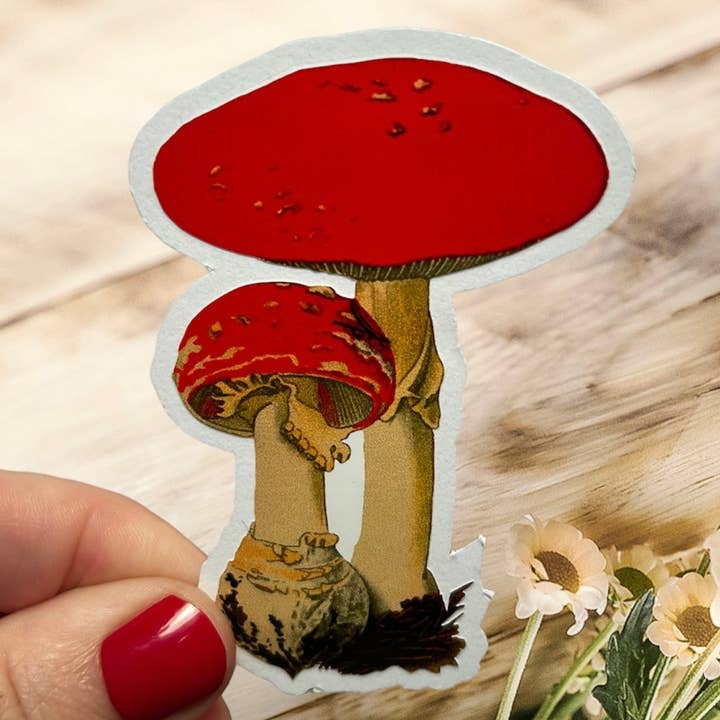 Vintage-Pilz-Aufkleber, Retro-Vinyl-Gartendekor, Hexen-Design für den Großhandel von Katenip Vintage Whimsy