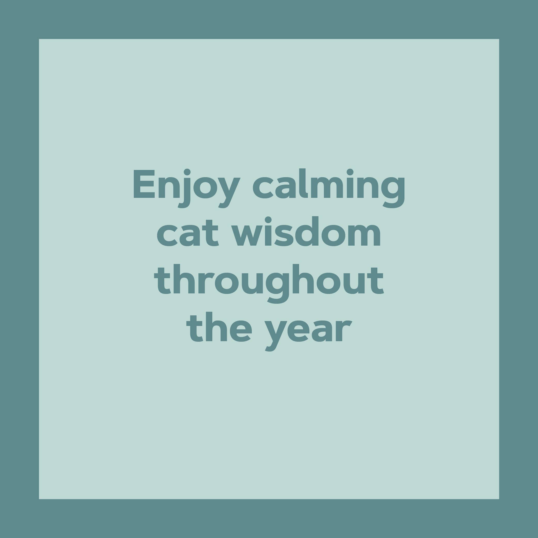 Chronicle Books - Wholesale Calendar - Catffirmations 2026 Wall Calendar9