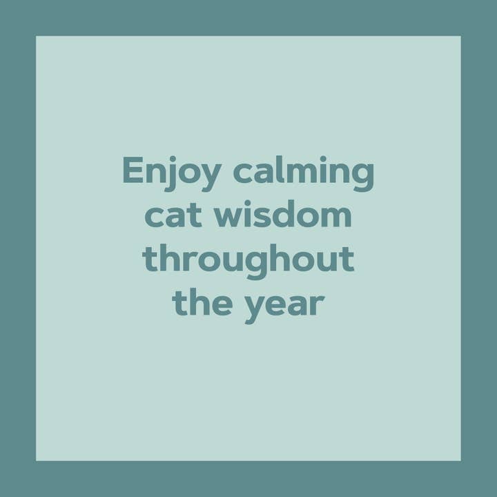 Chronicle Books - Wholesale Calendar - Catffirmations 2026 Wall Calendar9