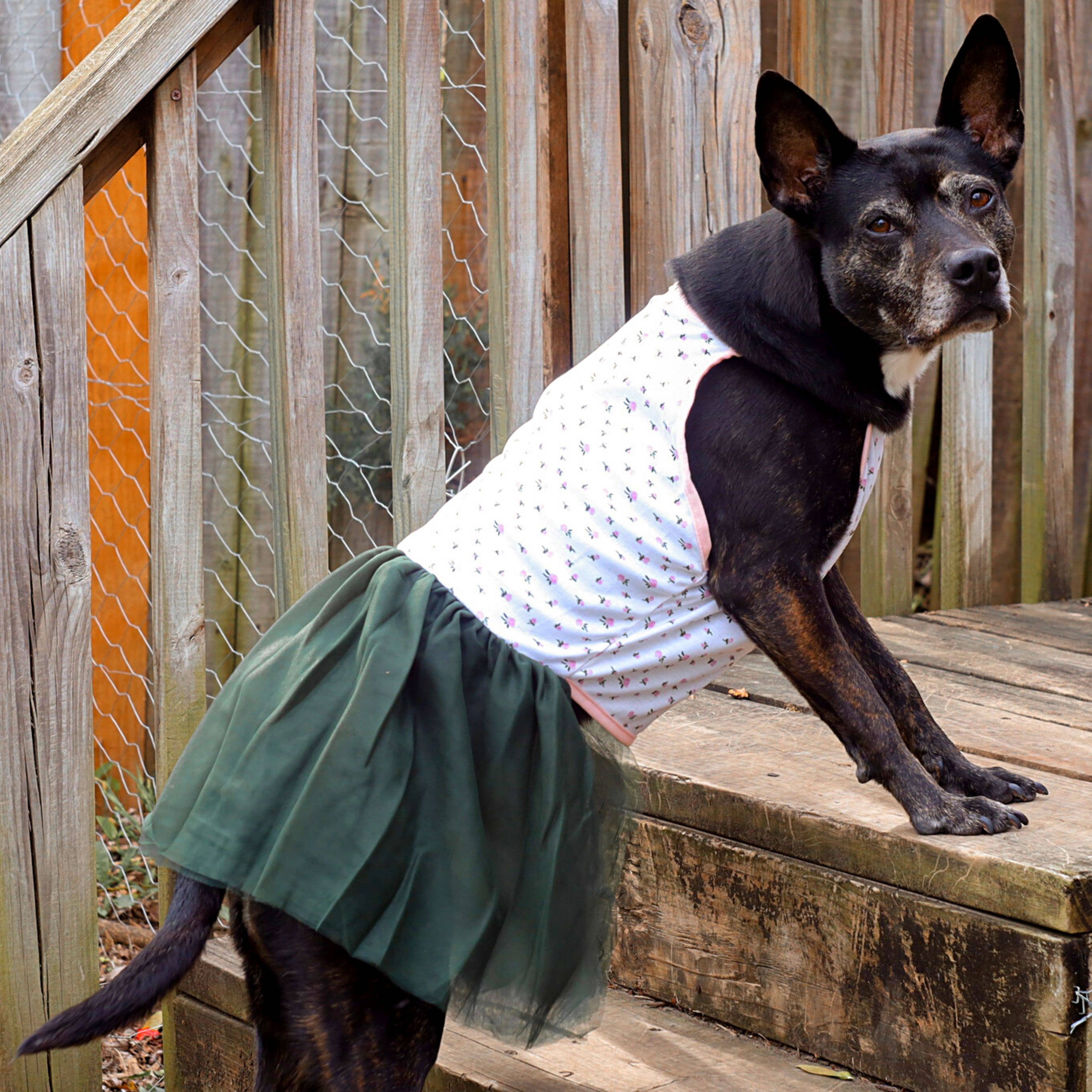 Midlee Designs – vestido - Cão por atacado – Vestido grande para cães Midlee Pink Rose Tutu8