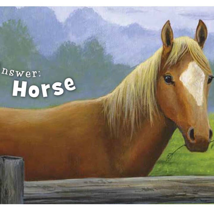 Sleeping Bear Press - Wholesale Baby & Toddler Book (0-2) - Little Texas Board Book2