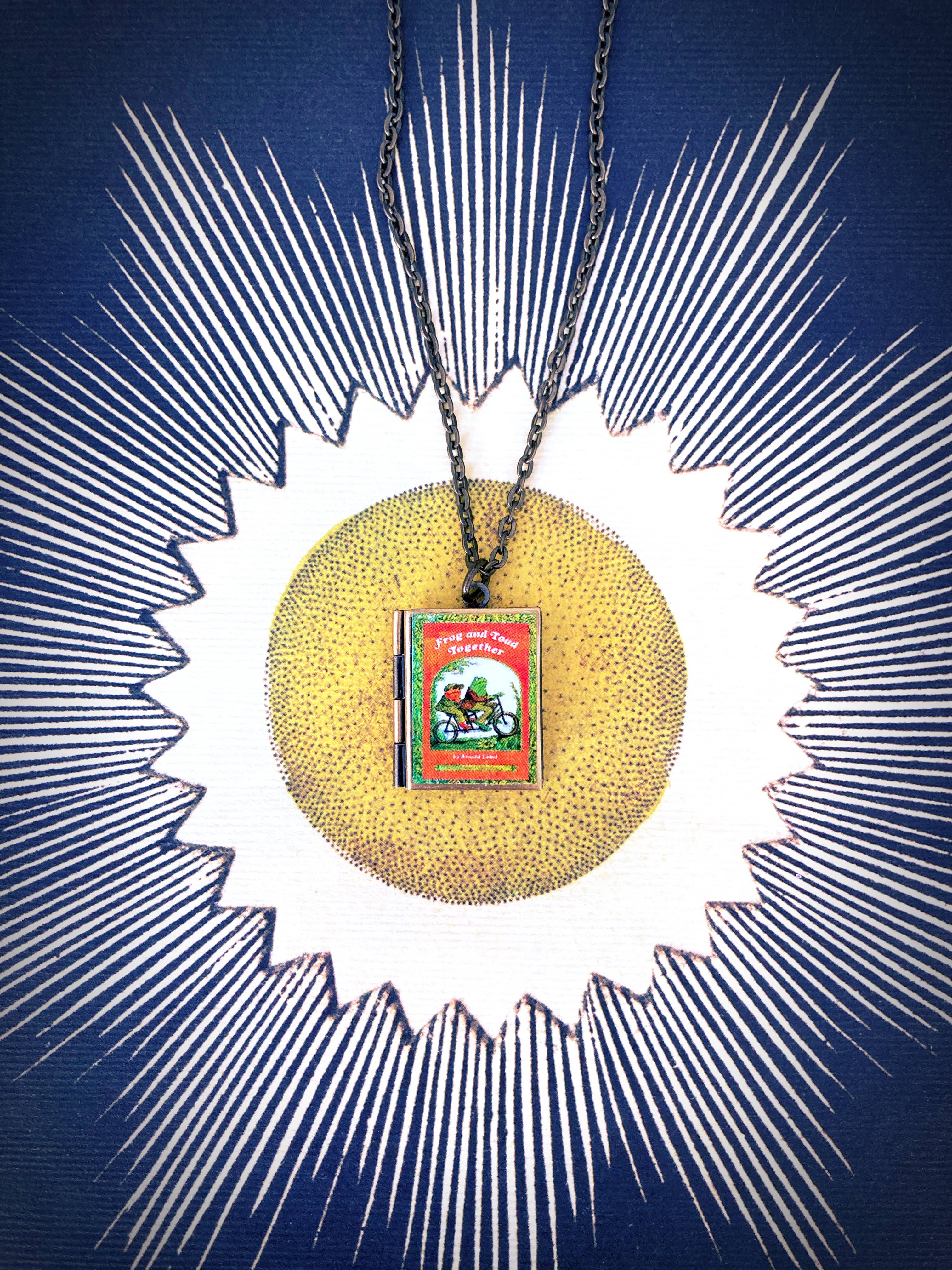 Marshall and Rose – Colar com medalhão por atacado – Livro Relicário Sapo e Sapo Juntos2