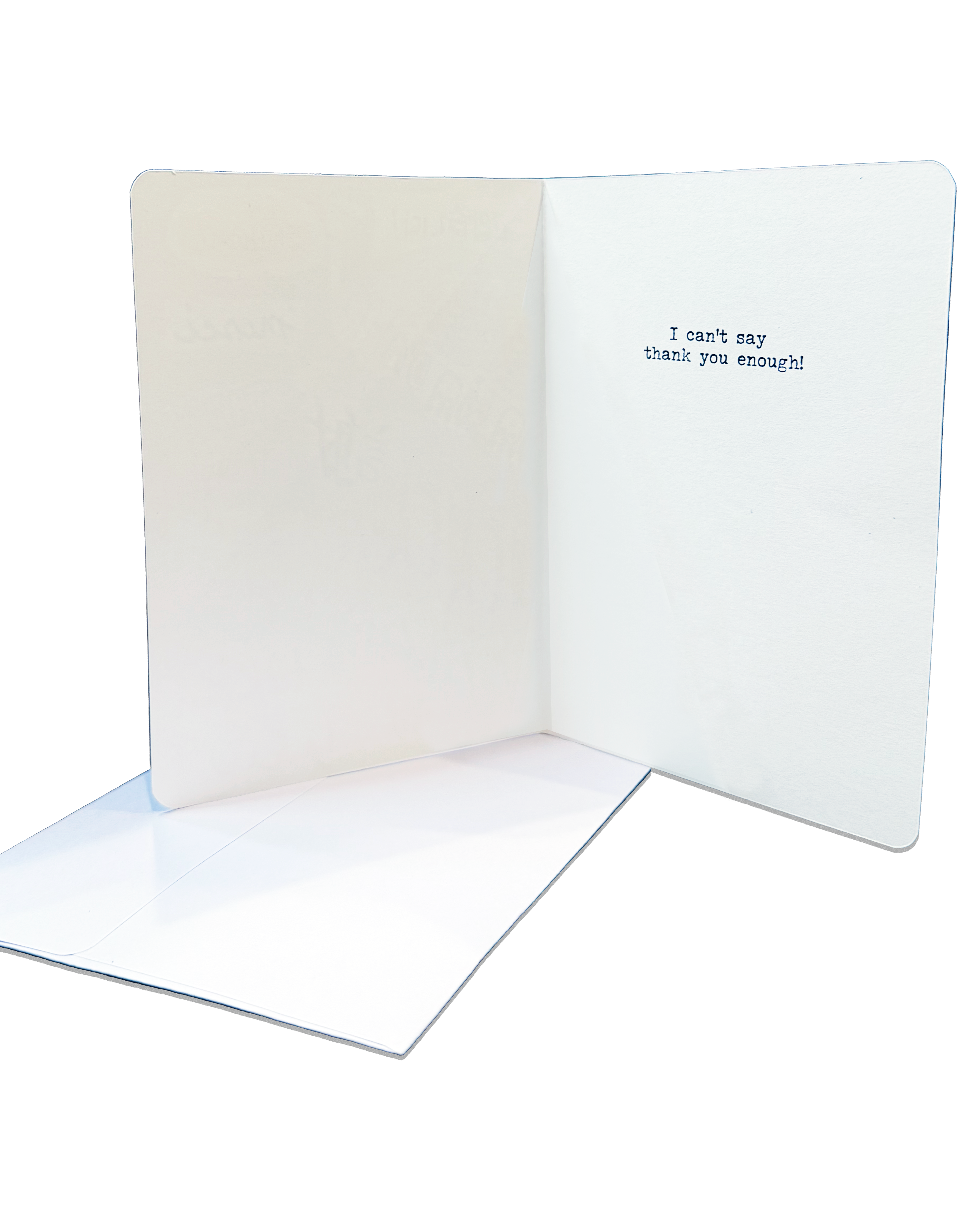 Albie Designs - Wholesale Thank You Card - I can't say thank you enough...greeting card1