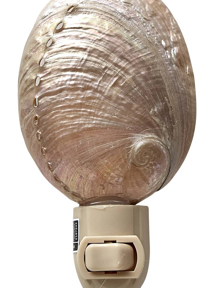 Pearled Abalone LED Loose Night Light for wholesale by HS Seashells