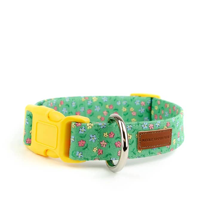 De Jeneverbeskraag voor wholesale door Puddle Jumper Pups