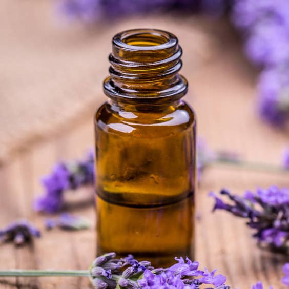Lavender Essential Oil (10 ml) for wholesale by Birchwood Acres