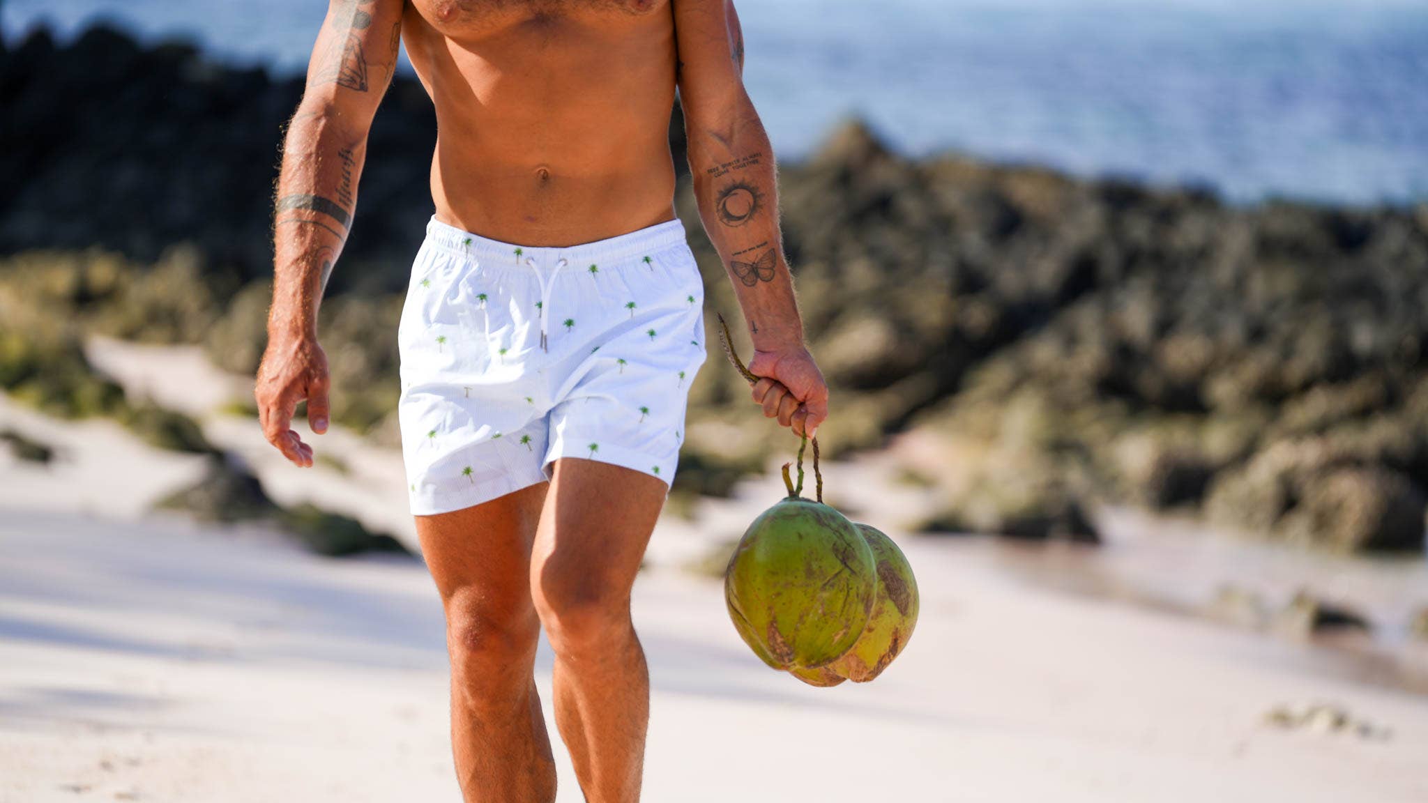 Bermies - Wholesale Swim Shorts - Men's - Palm Stripes - 6 inch with liner1