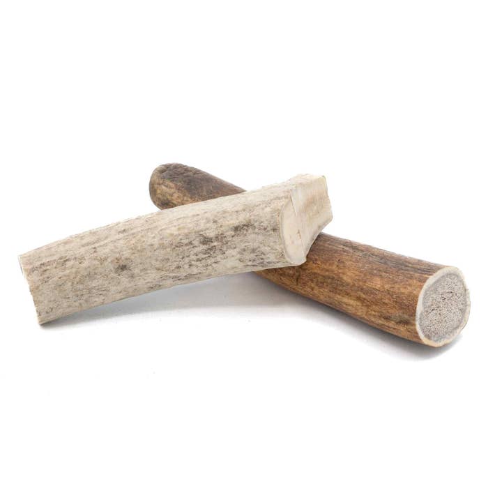 Solid Elk Antler Chew - Medium for wholesale by Furever Pure