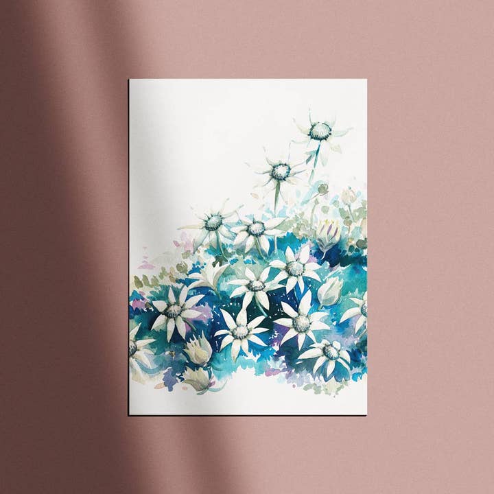 'April' Flannel Flower Birth Flower Art Print for wholesale by Natalie Martin | Australian Watercolour Artist