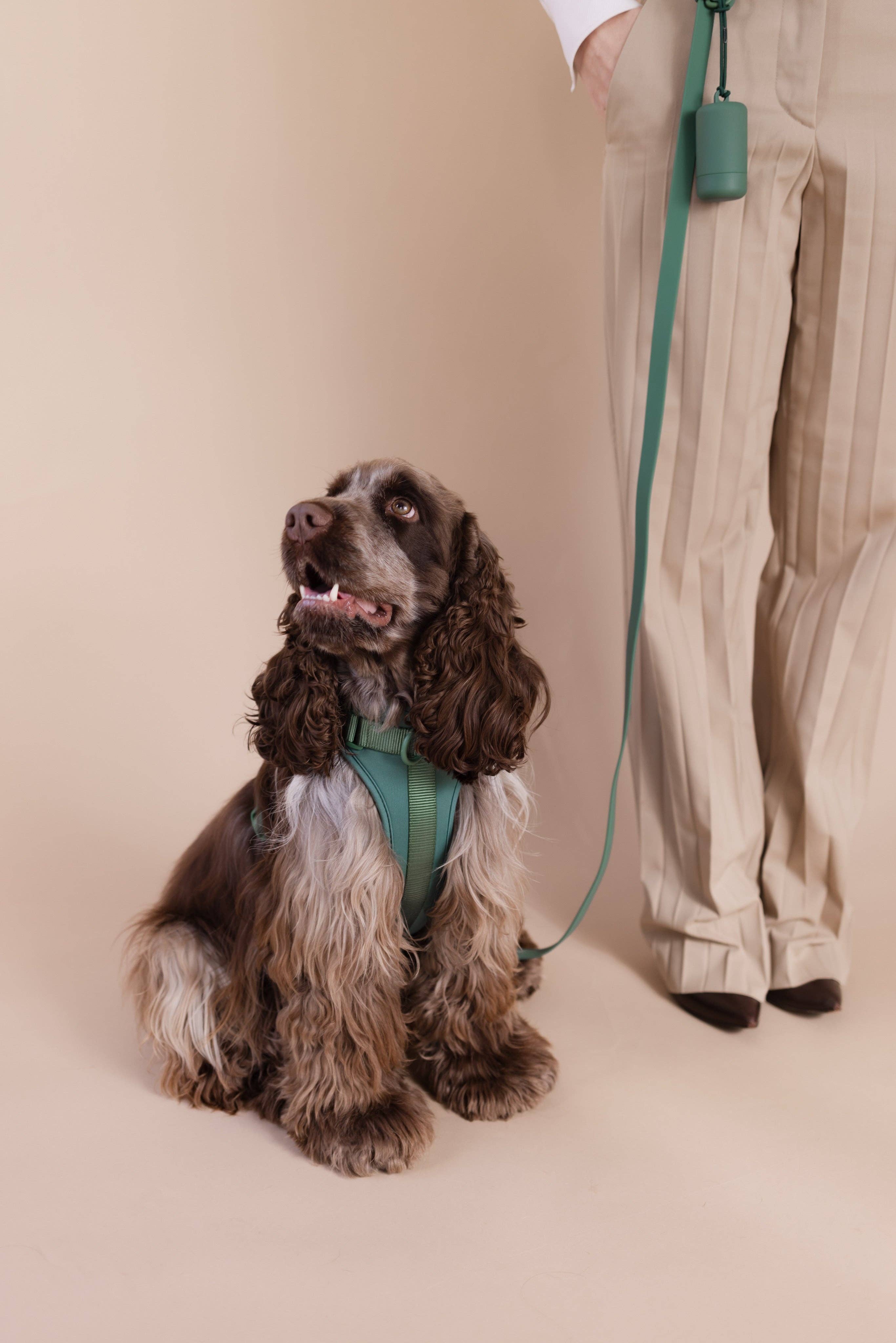 PRILTON - Wholesale Pet Harness - Dog - Harness - Green2