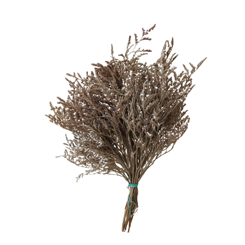 Concari.flores Preservadas - Wholesale Dried/Pressed Flowers - PRESERVED TATARICA0