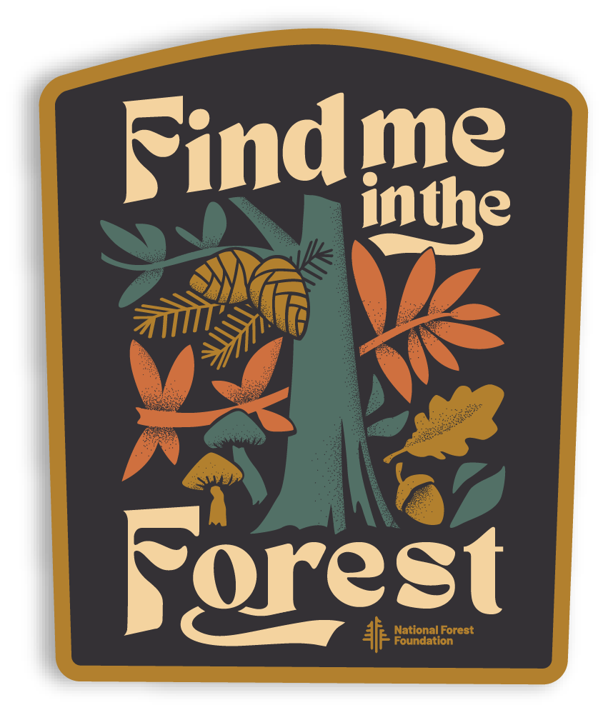 The Landmark Project - Wholesale Sticker - Find Me in the Forest Sticker1