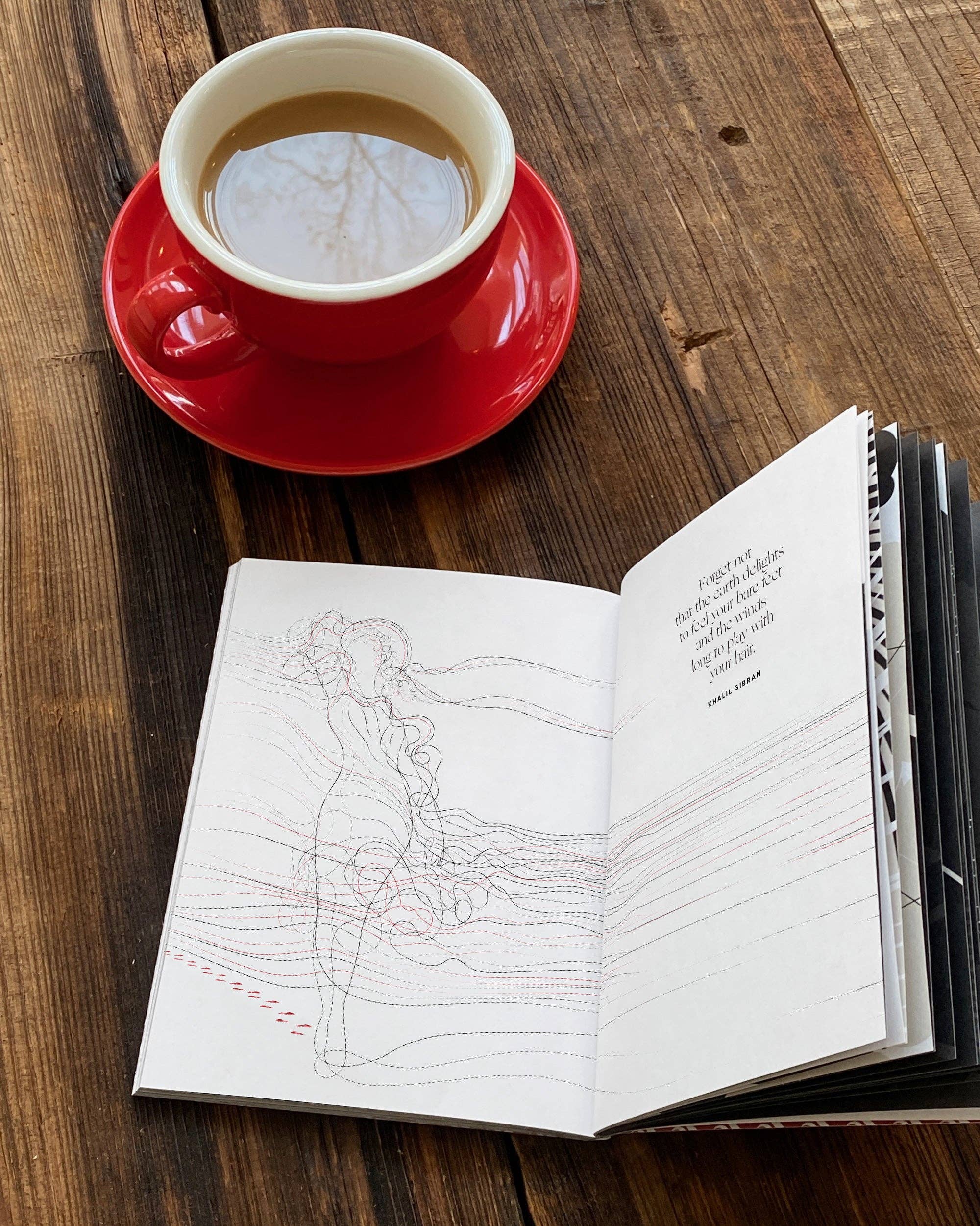 Obvious State – Poesia e teatro por atacado – Sobre a Natureza: Obras Completas e Poemas, Livro Ilustrado2