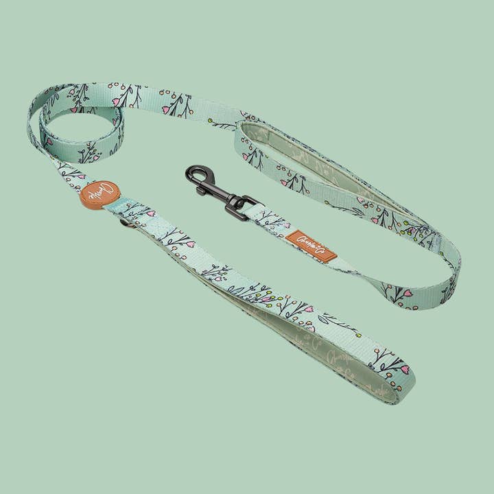 Dual Handled Dog Lead - Are You Flo-REAL for wholesale by Charlie & Co