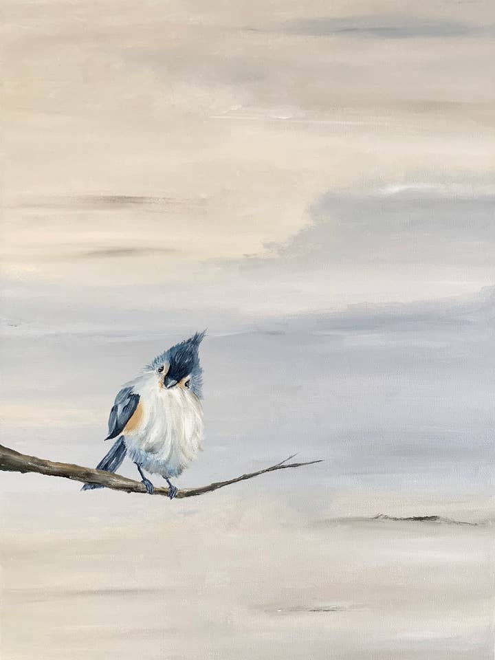 Tufted Titmouse (Bird Study 2) Fine Art Print for wholesale by My Artist Soul