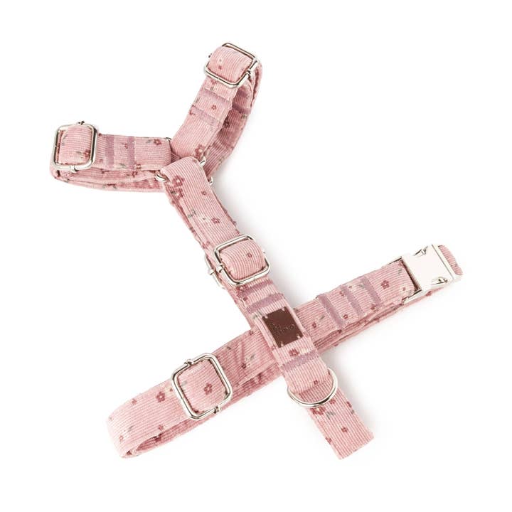 Arnés en H Mauve para venta al por mayor de B de Bruno ES