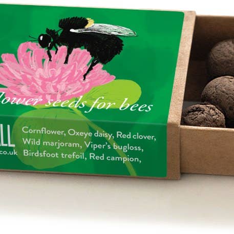 Seedball – wholesale Plant seeds – Bumblebee Seedball Wildflower Boxes1