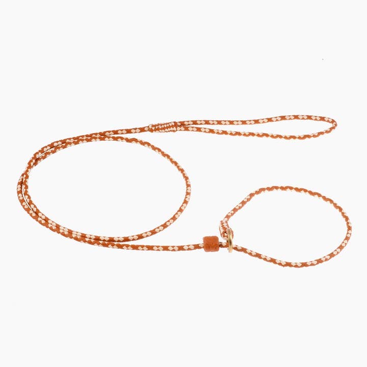 Alvalley - Wholesale Pet Leash - Dog - Braided Leather Slip Lead with Stopper15