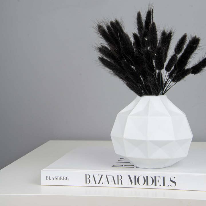 pampas studio uk - Wholesale Dried/Pressed Flowers - Bunny Tails Black