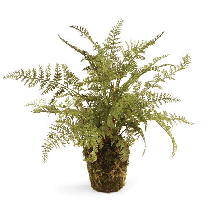 Soft Fern Drop-In 13" for wholesale by Napa Home & Garden
