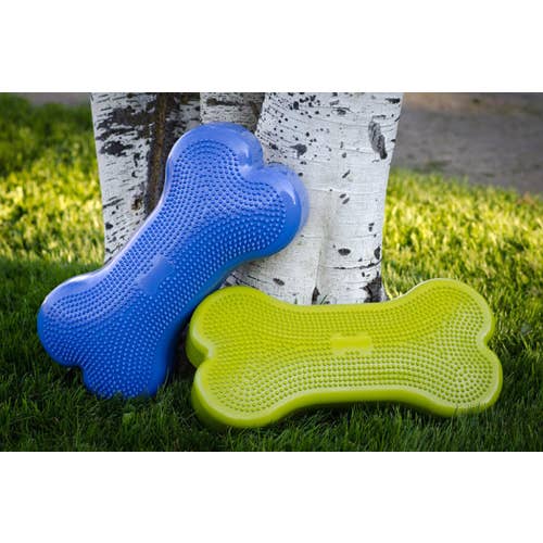FitPAWS – wholesale Pet toy – Dog – CanineGym® K9FITbone Balance Training Platform – Original