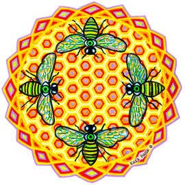 Bees See (Stor) för wholesale av Cosmic Circles