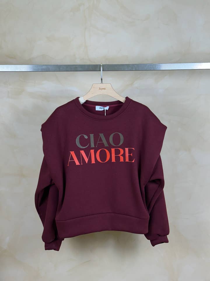 Joyna - Wholesale Graphic Sweatshirt - Women's - SHOULDER PAD SWEATSHIRT P37088-23