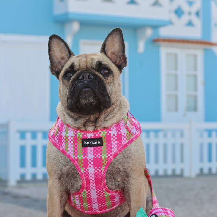 barkzie - Wholesale Pet Harness - Dog - Harness - Santa Monica