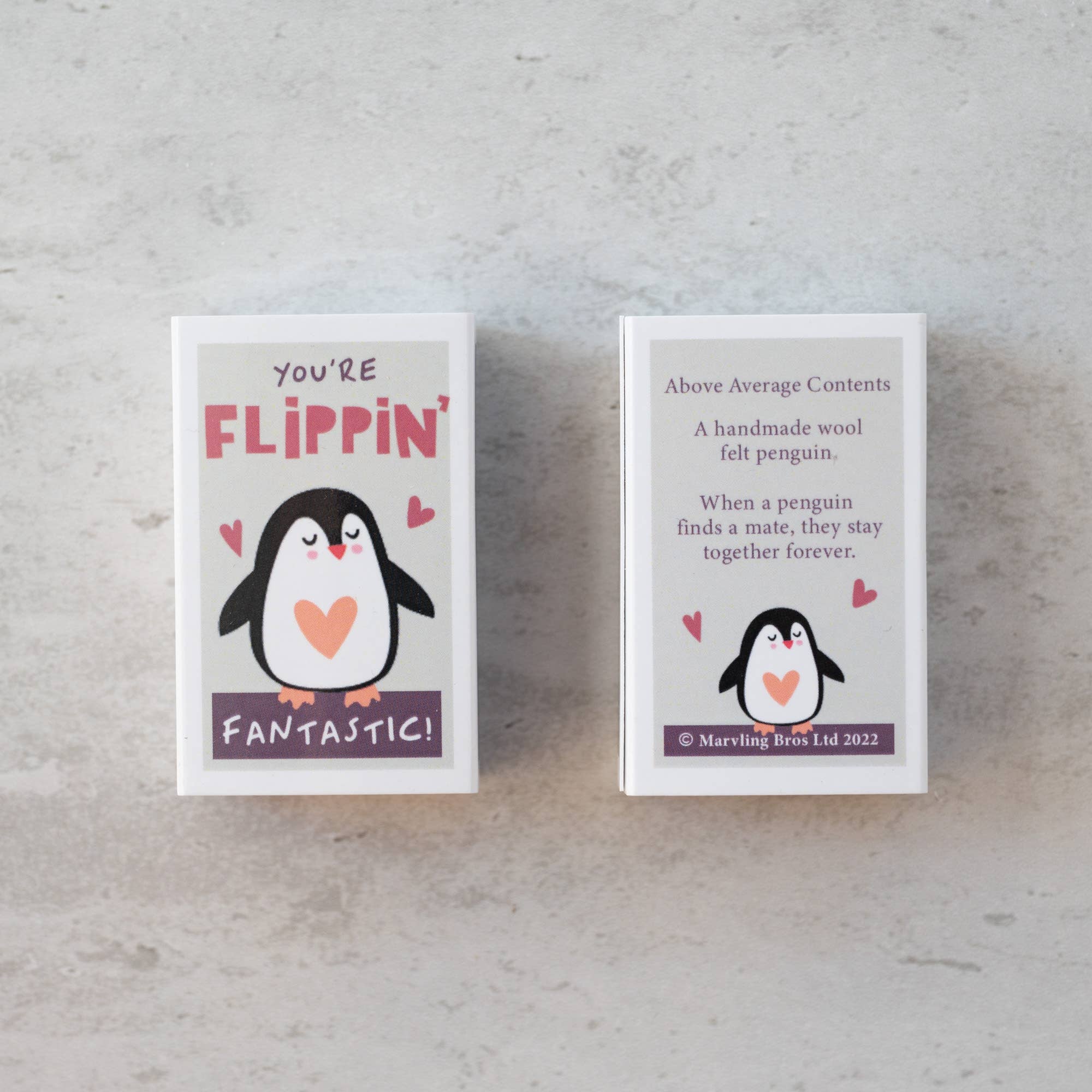 Marvling Bros Ltd - Wholesale Gag Gift/Novelty Gift - You're Flippin' Fantastic Wool Felt Penguin In A Matchbox5