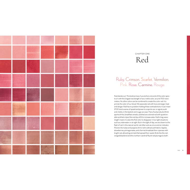 Chronicle Books - Wholesale Nature & Outdoors - Mushroom Color Atlas7