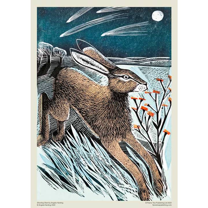 Simon & Schuster - Wholesale Puzzle - Adult - Adult Sustainable Jigsaw Puzzle: Angela Harding: Shooting Stars by1