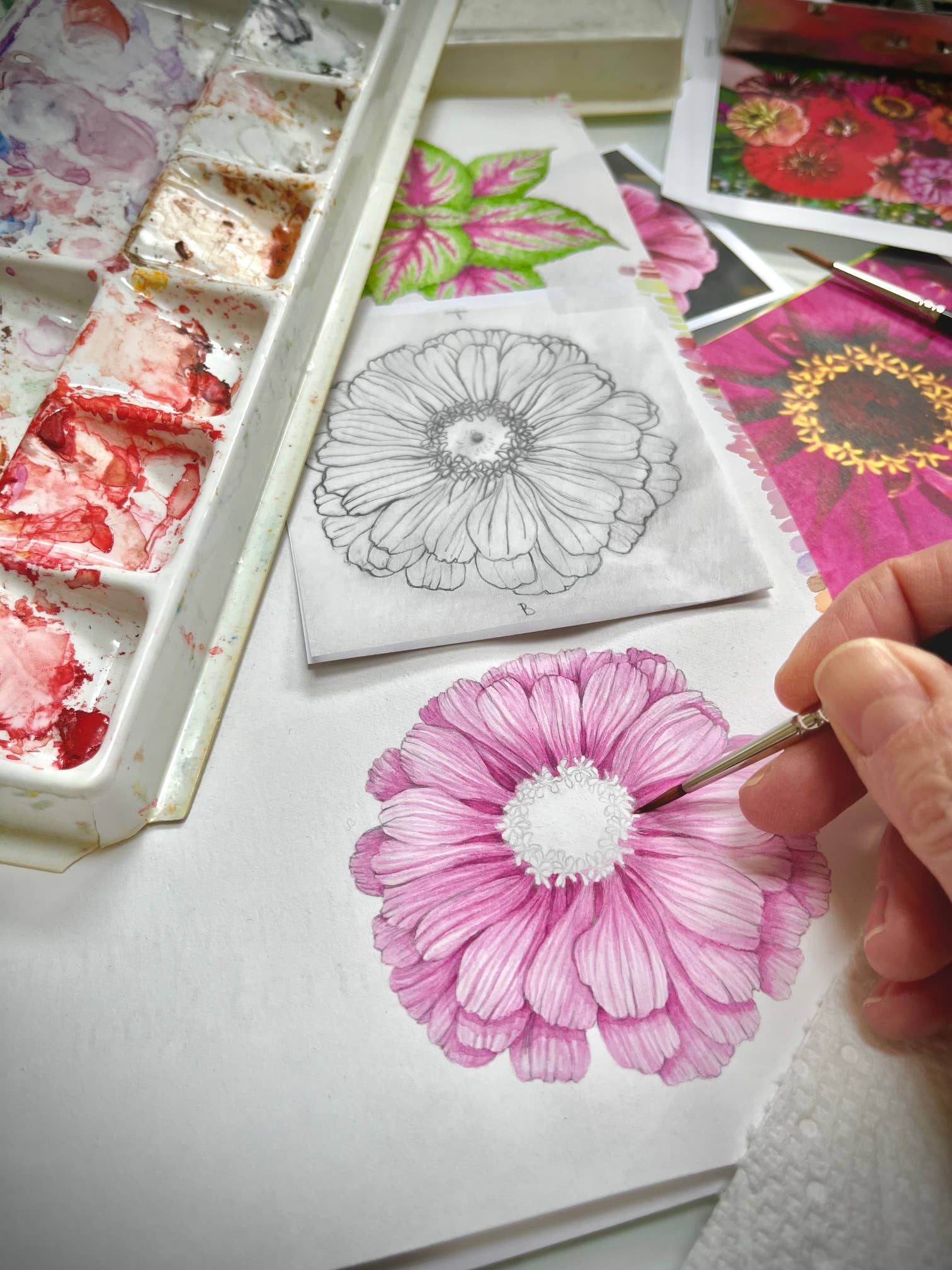 Potting Shed Creations, Ltd. - Wholesale Plant Seeds - NEW Flower Cutting Garden Box | Mixed Zinnia 9