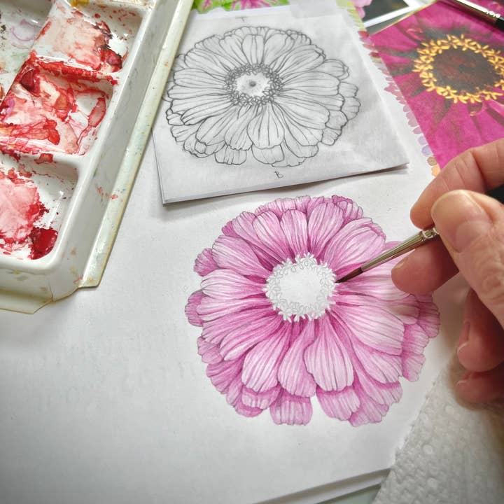 Potting Shed Creations, Ltd. - Wholesale Plant Seeds - NEW Flower Cutting Garden Box | Mixed Zinnia 9