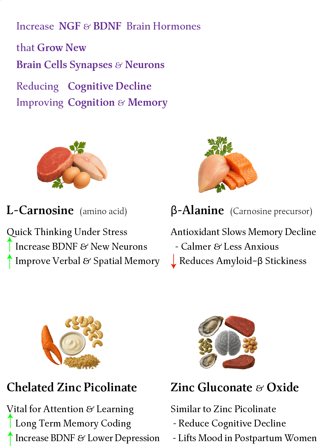 BioTech Life Sciences - Wholesale Oral Supplement/Vitamin - IQ2 NMN - Brain & Heart Health - Grow New Brain Cells4