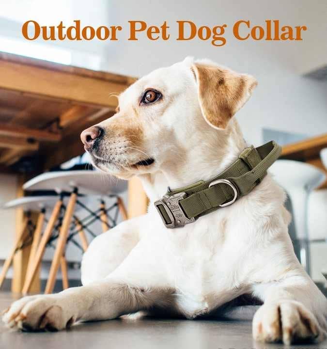 VIGOR - Wholesale Pet Collar - Dog - High Quality Heavy Duty Metal Buckle Pet Collar strong Dogs15