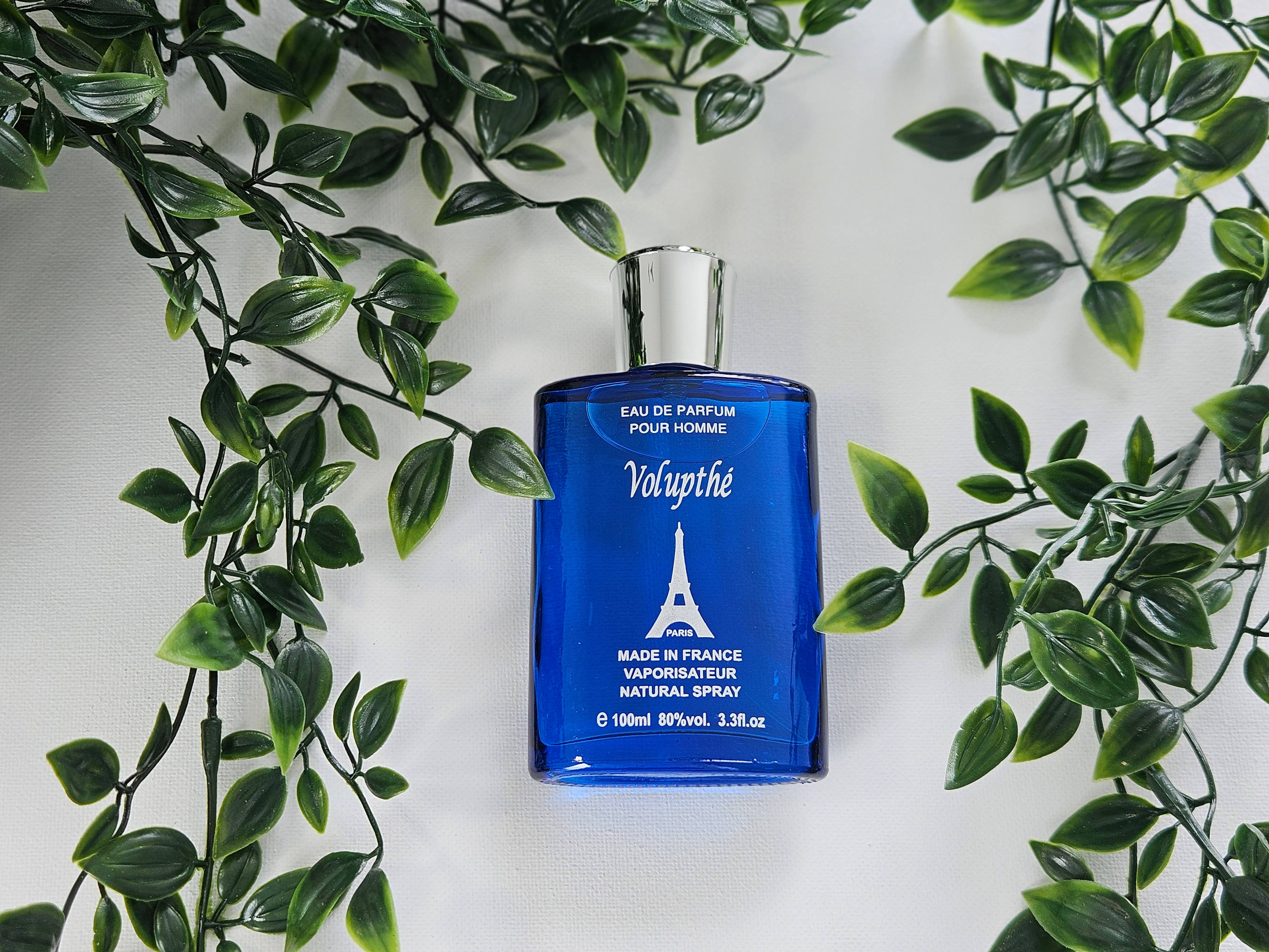 France parfums concept – wholesale Perfume/eau de toilette – Volupte Eau De Parfum For Men 100 ML5