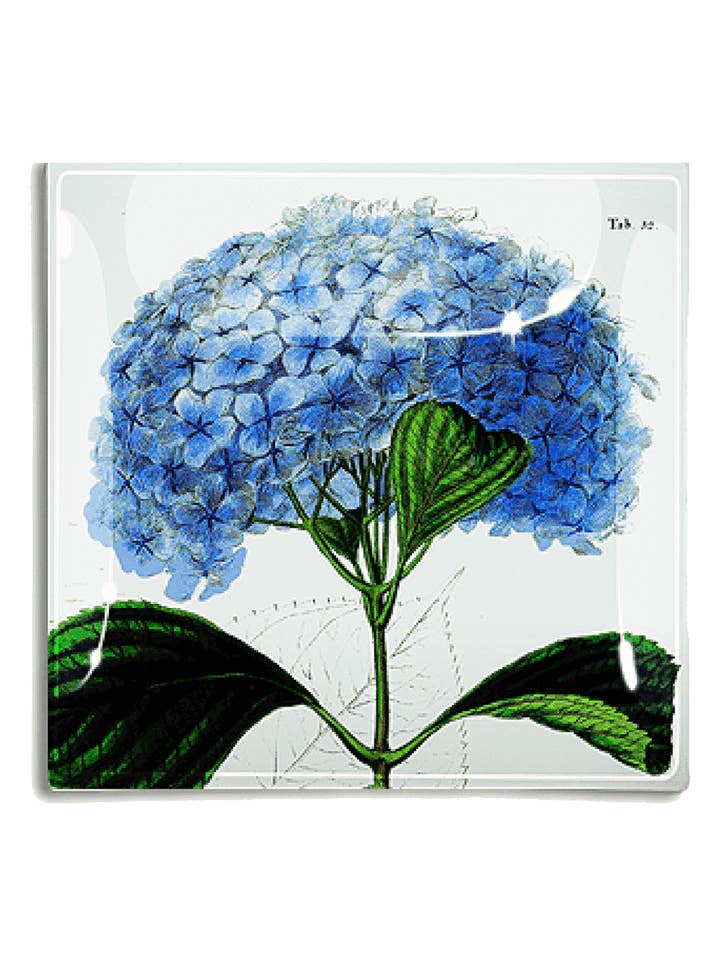 Blue Hydrangea Decoupage Glass Tray for wholesale by Ben's Garden