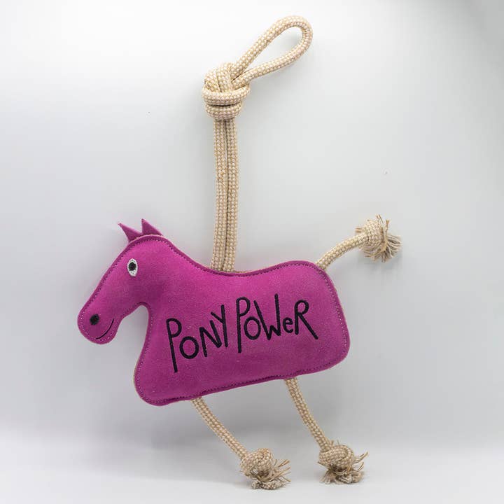Poder do Pony por atacado de Eco Pet Parcel