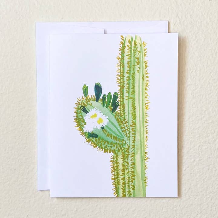 Blooming Saguaro for wholesale by LLUBAV CO.