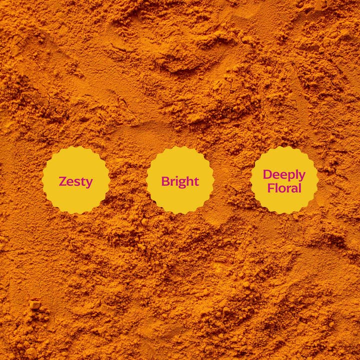 Diaspora Co. Spices - Wholesale Dried Spice - Pragati Turmeric