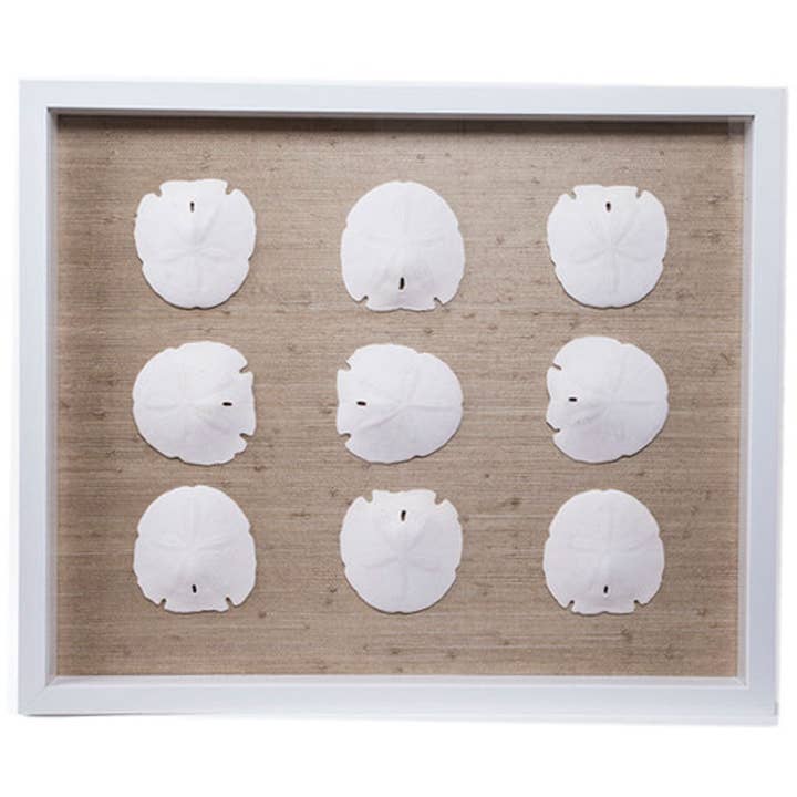 Sealife Shadow Box, color natural/blanco para venta al por mayor de Jamie Dietrich Designs