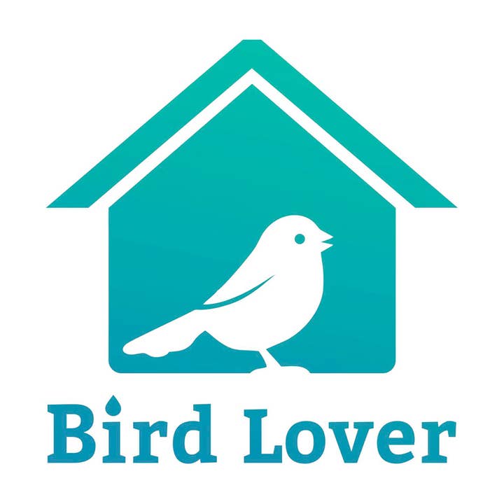 Croci Group - Wholesale Bird Feeder - Smart WiFi Bird Feeder with HD Camera3