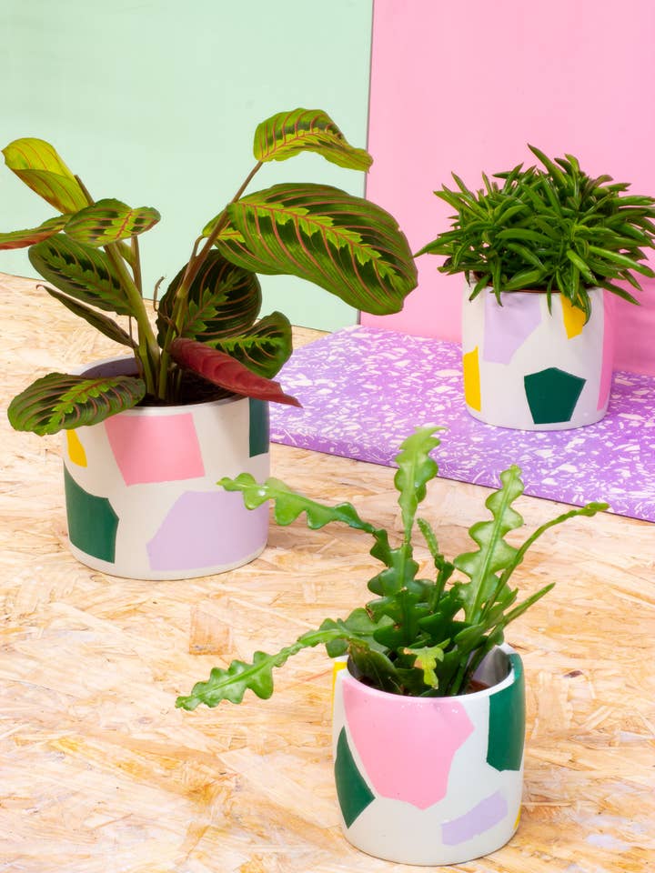 Chunky Chip Plant Pot for wholesale by Salt Studios