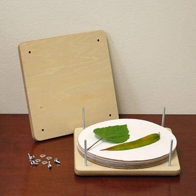 BestNest Inc - Wholesale DIY Craft Kit - Nature Press, 9" x 9"1