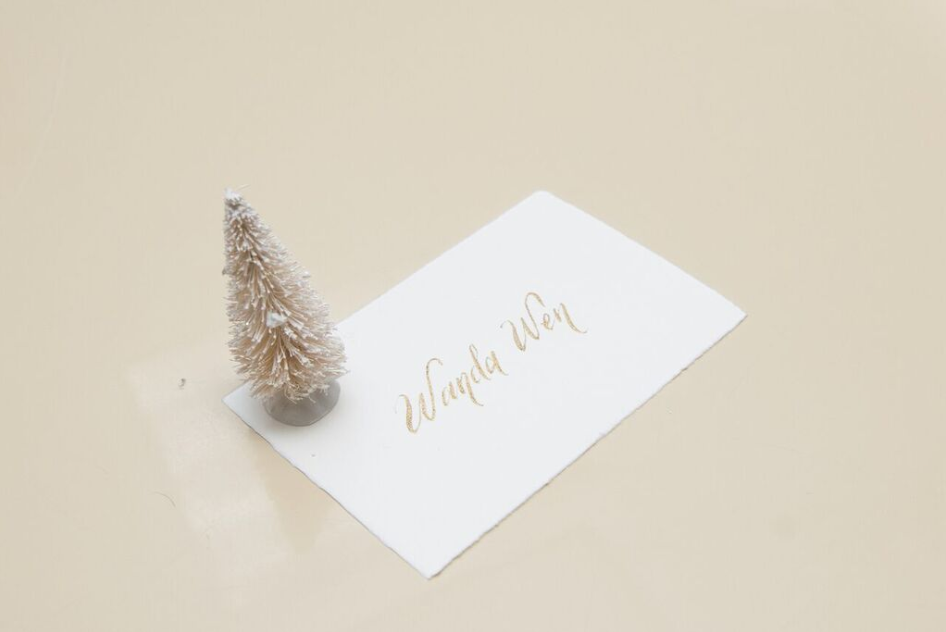 SOOLIP - Wholesale Place Card / Place Holder - Ephemera Place Cards8