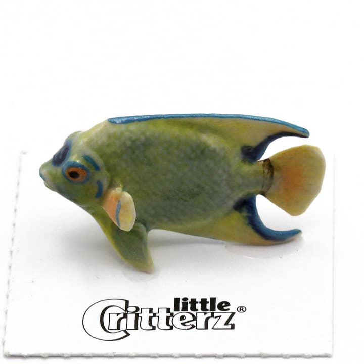 Queen Angelfish Porcelain Miniature for wholesale by Little Critterz